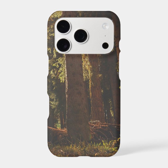 Forest (Back)