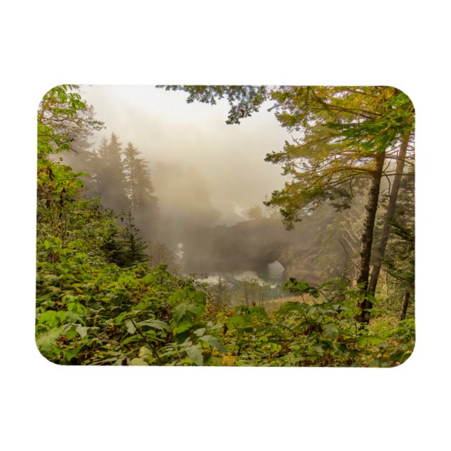 Forest and Ocean Landscape Magnet (Horizontal)