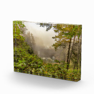 Forest and Ocean Landscape Photo Block