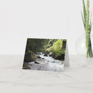 Forest and Stream Blank Notecards