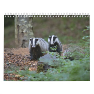 Forest Animals Calendar