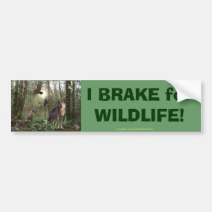 Forest Animals Gifts Bumper Sticker