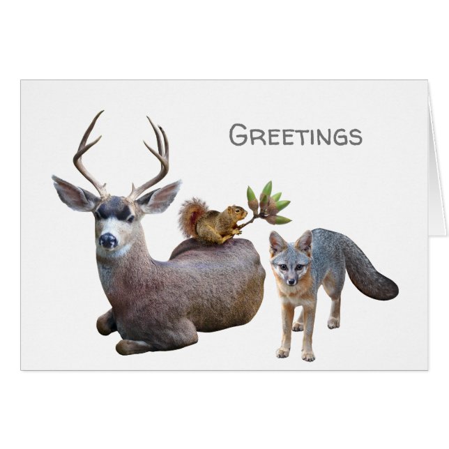 Forest Animals Greetings Card (Front Horizontal)