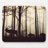 Forest Animals in a Fog
