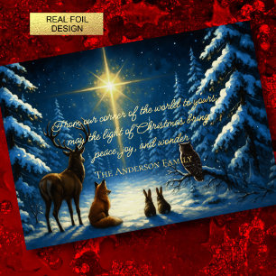 Forest Animals Mesmerised by the Christmas Star