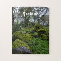 Forest at Blarney Castle