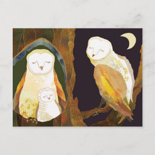 Forest Barn Owl Family Postcard