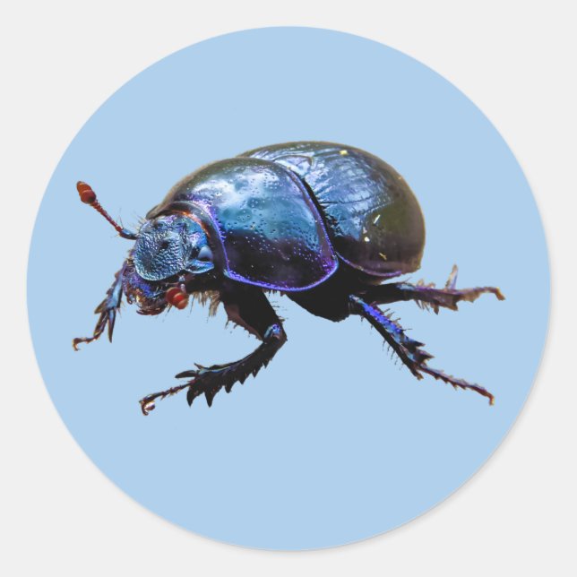 forest beetle Dor Beetle Blue Dung Bug T-shirt Classic Round Sticker (Front)