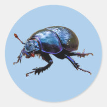 forest beetle Dor Beetle Blue Dung Bug T-shirt