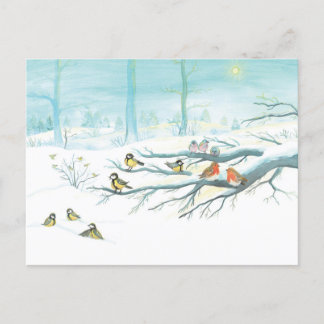 Forest birds in winter holiday postcard