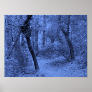 Forest Blues Poster