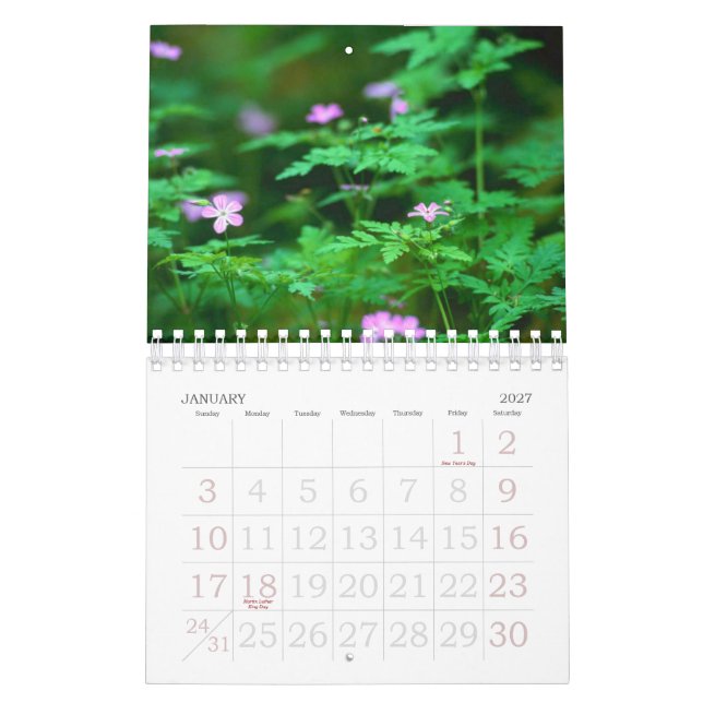 Forest Calendar (Jan 2027)