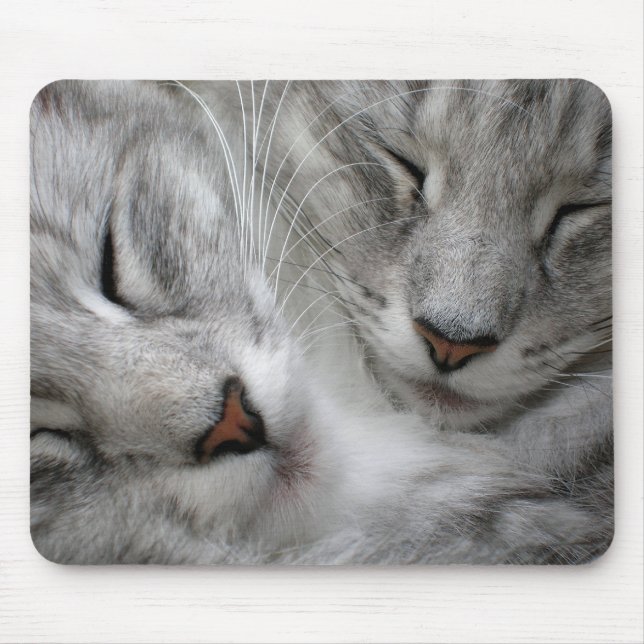 Forest cat mouse mat (Front)