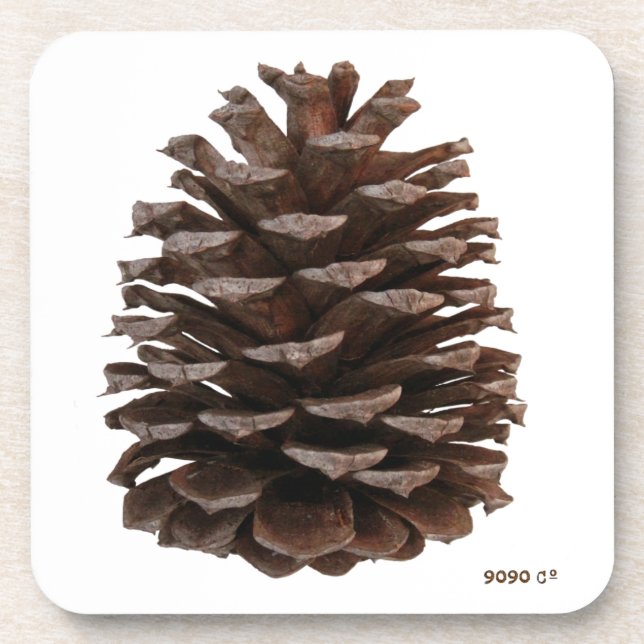 Forest Coasters (Front)