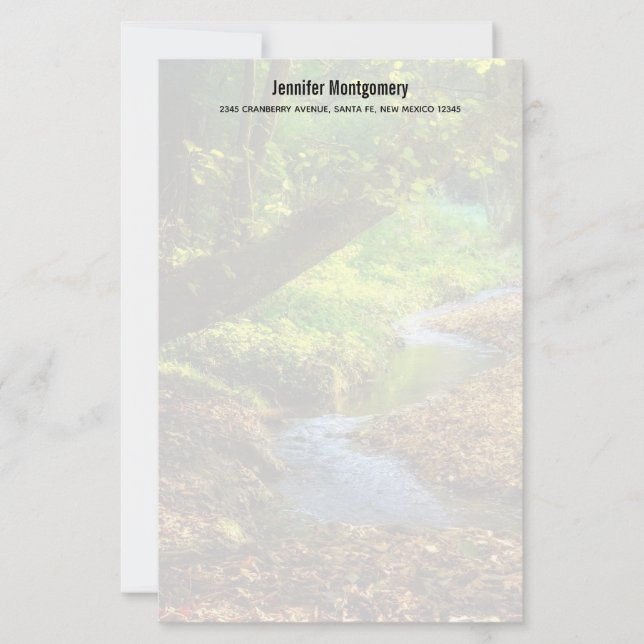 Forest Creek Beautiful Nature Landscape Photo (Front)