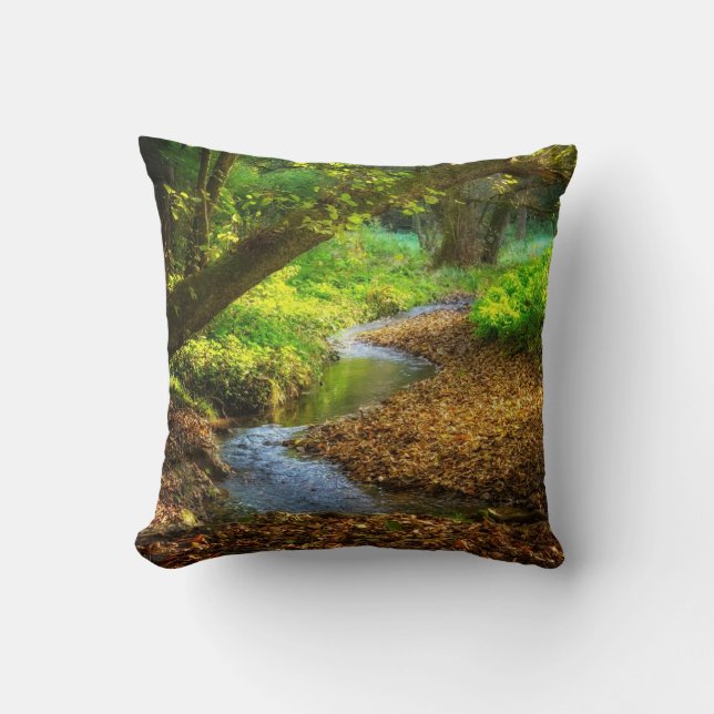 Forest Creek Beautiful Nature Landscape Photo Cushion (Front)