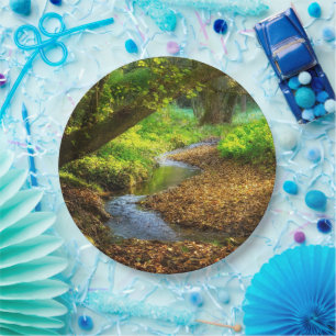 Forest Creek Beautiful Nature Landscape Photo Paper Plate