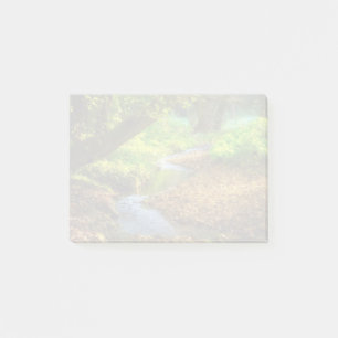 Forest Creek Beautiful Nature Landscape Photo Post-it Notes