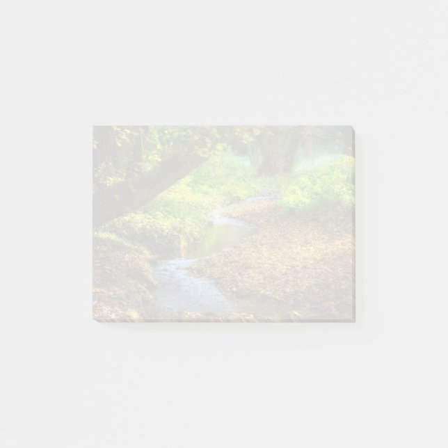 Forest Creek Beautiful Nature Landscape Photo Post-it Notes (Front)