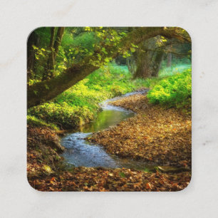 Forest Creek Beautiful Nature Landscape Photo Square Business Card