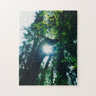 Forest Dragon - Jigsaw Puzzle