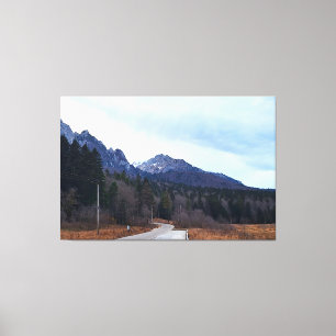 Forest Drive Scenic Landscape Wild Nature Romania Canvas Print