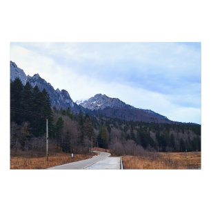 Forest Drive Scenic Landscape Wild Nature Romania Photo Print