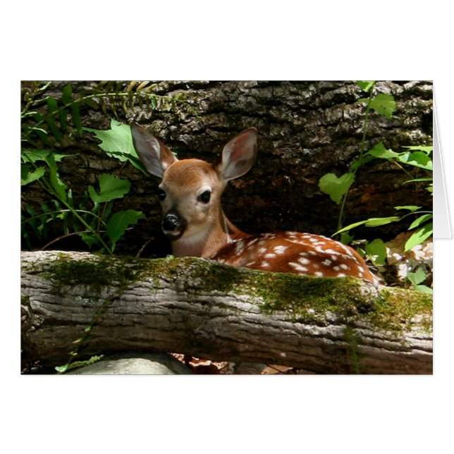 [Forest Fawn] - Any Occasion Card (Front Horizontal)