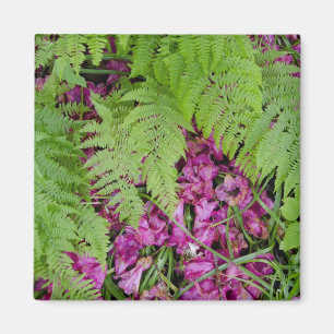 Forest ferns with pink flower petals on ground magnet