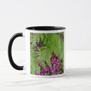Forest ferns with pink flower petals on ground mug