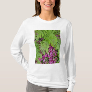Forest ferns with pink flower petals on ground T-Shirt