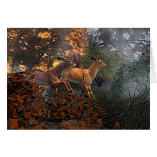 Forest Fire
