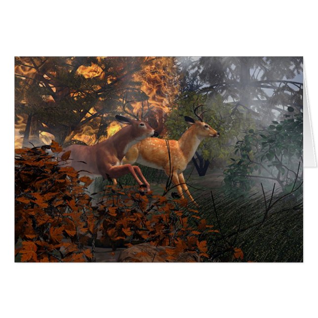 Forest Fire (Front Horizontal)