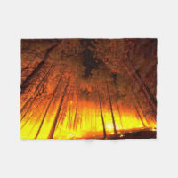 Forest Fire