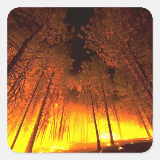 Forest Fire Square Sticker (Front)