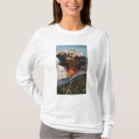 Forest Fire view in Mountains