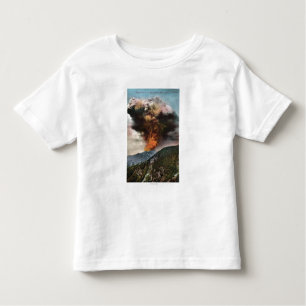 Forest Fire view in Mountains Toddler T-Shirt