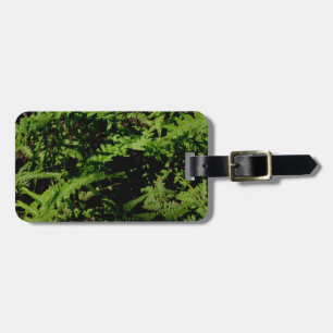 Forest Floor Ferns Luggage Tag