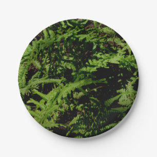 Forest Floor Ferns Paper Plate