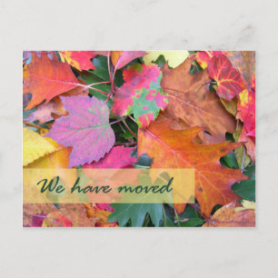 Forest Floor New Address Template