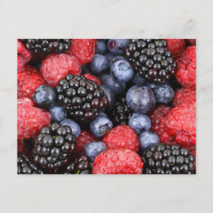 Forest Fruits Postcard