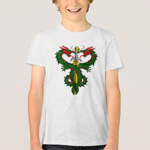 Forest Guardian Dragon Blade Tri-Blend Shirt