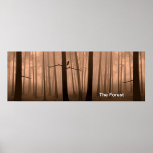 Forest image for Poster