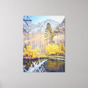 Forest in Autumn Canvas Print