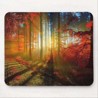 Forest In Autumn Mouse Pad