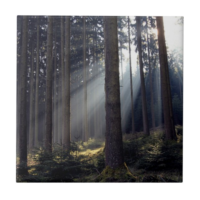 Forest in Bavaria Tile (Front)