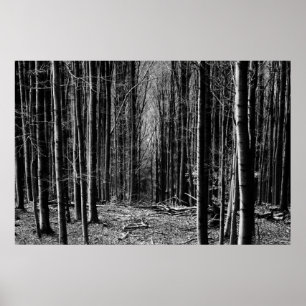 Forest in Black and White Poster