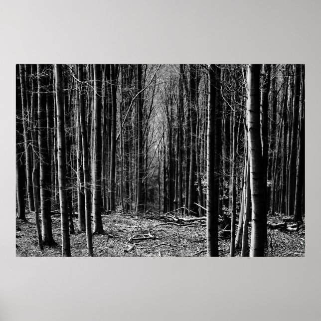 Forest in Black and White Poster (Front)