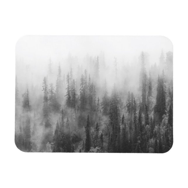 Forest in Fog Magnet (Horizontal)