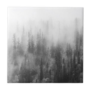 Forest in Fog Tile